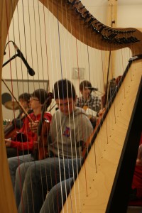 Through the Harp